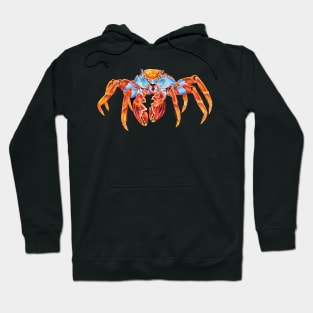 Sally Lightfoot Crab Hoodie